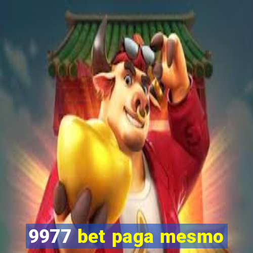 9977 bet paga mesmo